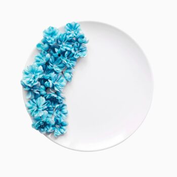 Full Plate (10.5") - Set of 6