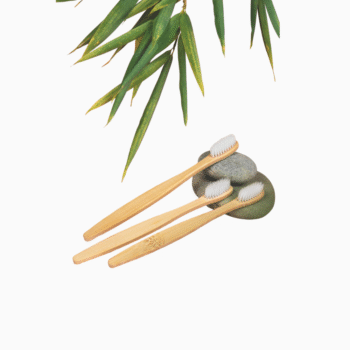 Bamboo Kids Toothbrushes