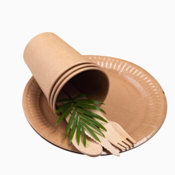 Eco-frienldy Full Plate (10.5") - Set of 6
